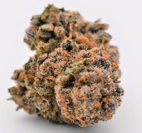 Mac #69