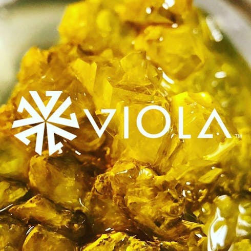 Viola Live Sugar Wax