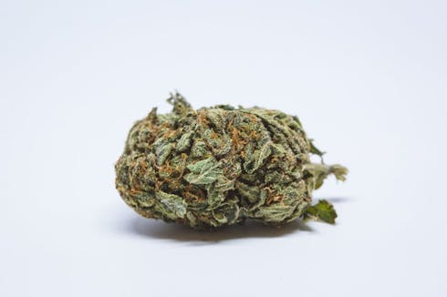 Berry White (20%THC) Dime Bag