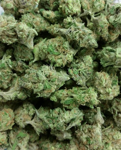 Tangerine Cookies (TAXES INCLUDED)