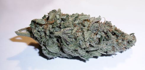 Blue Dream (23.34% - 24.63% THC) Smoakland