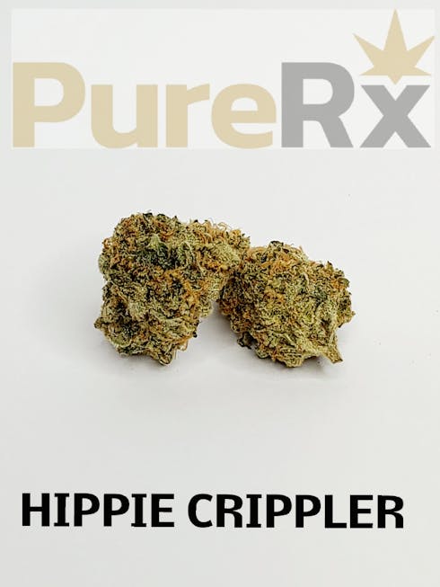 HIPPIE CRIPPLER