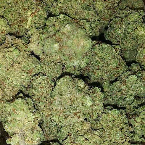 Orange Krush