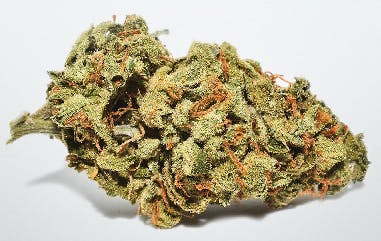 Super Lemon Haze