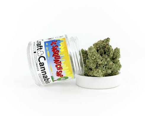 3C | Sasquatch Sap