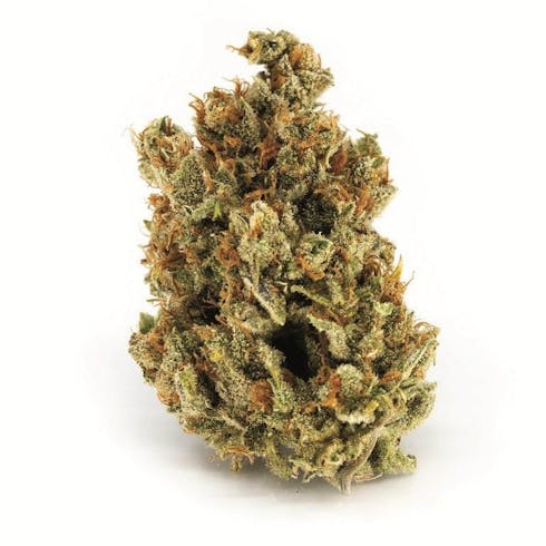 Top Shelf - Lemonade