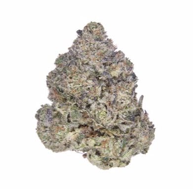 The Menthol