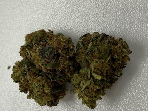 Sour Banana