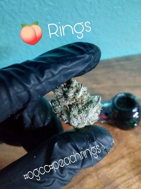 Peach Rings