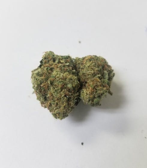 Sequoia Strawberry