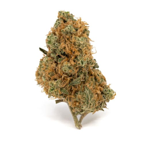 Top Shelf - Mac & Cheese