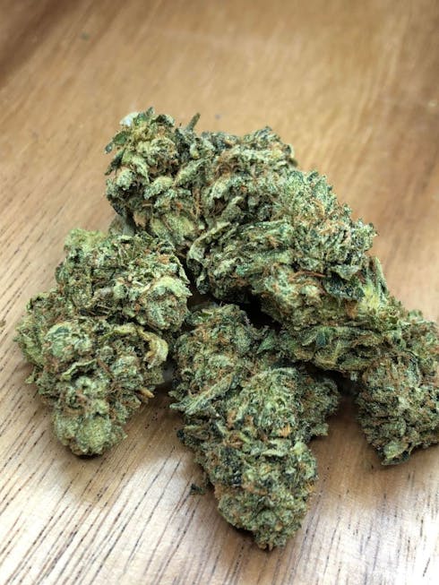 King Louis XIII