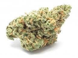 Blue Dream (18.8% THC)(Medical)