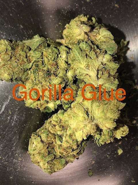 Original Glue