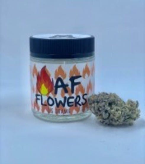 Cake Punch (I/S) 19.09%THC (FIRE AF)