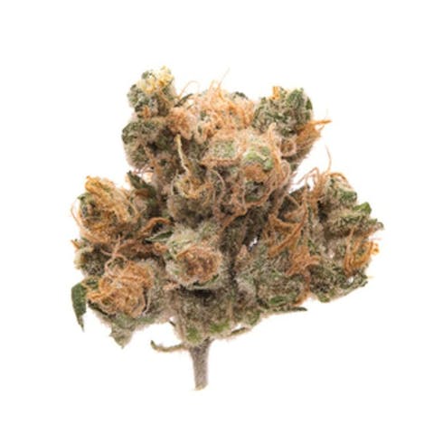 Lemon Sweet Skunk