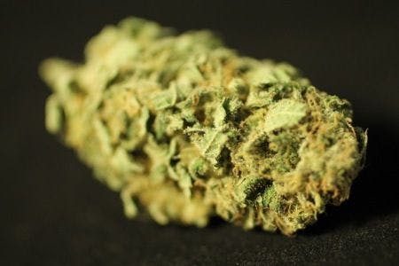 Blue Lemon Haze