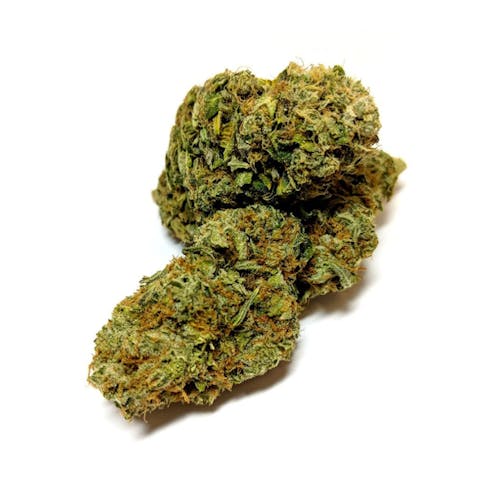 Bruce Banner