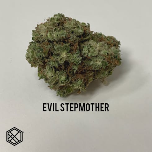 Evil StepMother