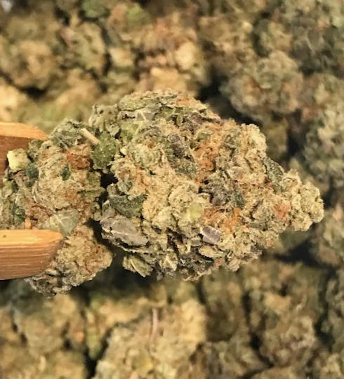 Blue Gelato