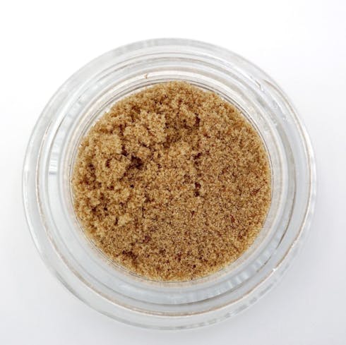Kief: NYC Sister