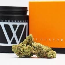 Orange Sunset | Wonderbrett