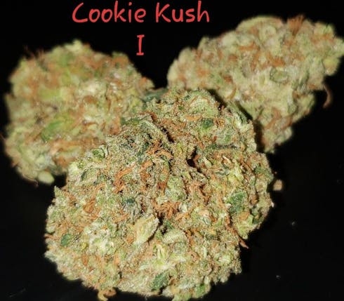 Cookies Kush