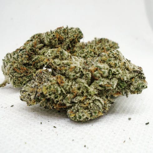 Gelato