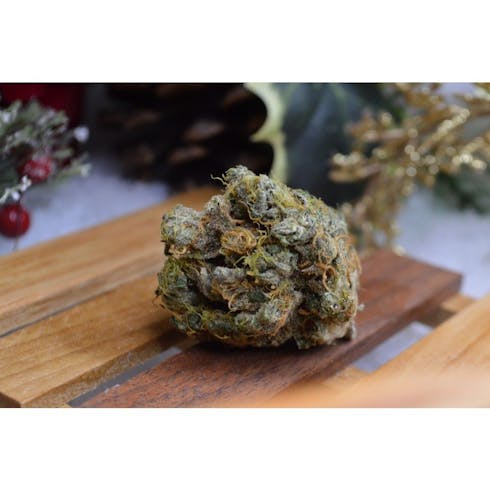Curio: Sour Jack