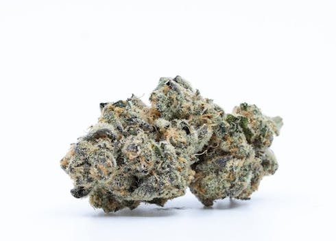 GSC (f.k.a. Girl Scout Cookies)