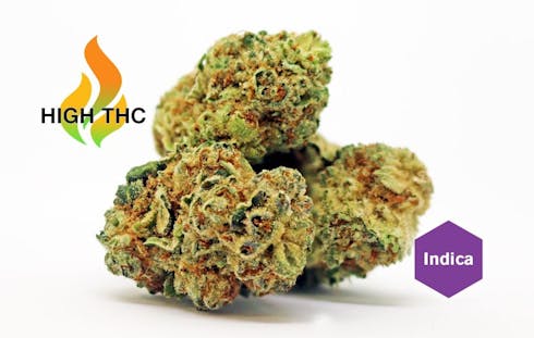 Grape Valley Kush (Shango)