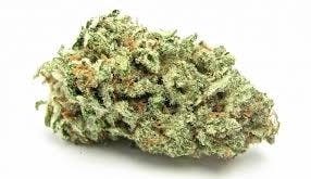 JACK FLASH