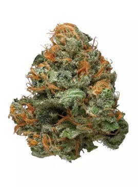 Blueberry Haze - Ultra-Premium Flower 24.17%