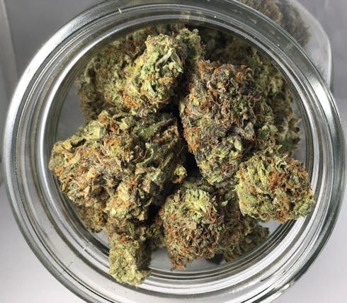 Master Kush