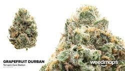 Grapefruit Durban