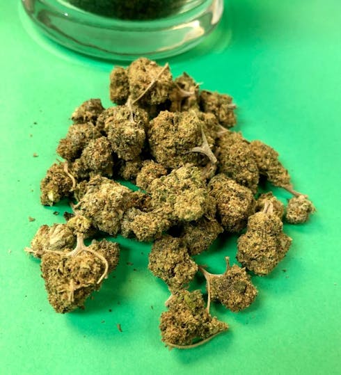 Gelato