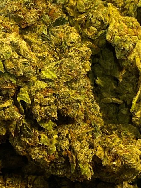 BOSS OG