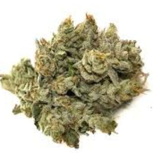 OG Kush | Nativ