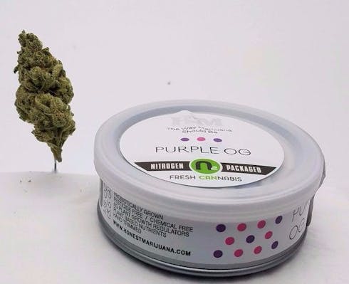 HONEST MARIJUANA - PURPLE OG