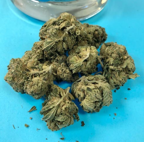 Platinum GSC