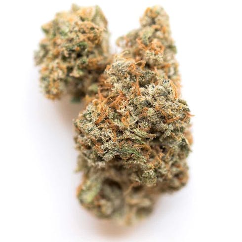 Lemon Meringue (70/30 Sativa) (1/8 OZ Only) *New*