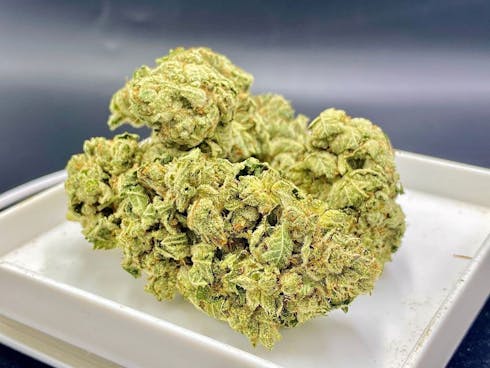 Galactic Glue