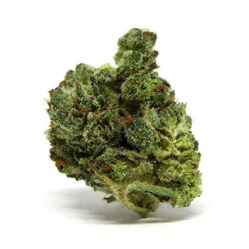 Chemdawg Trails