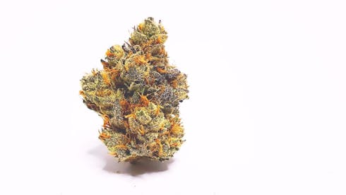 BUBBA KUSH