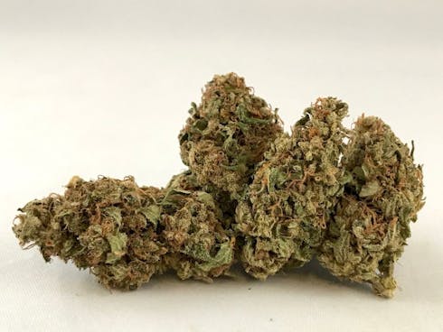 Gelato