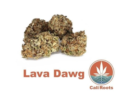 Lava Dawg - Preweighed