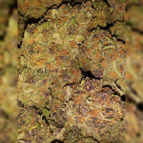 Forbidden Fruit