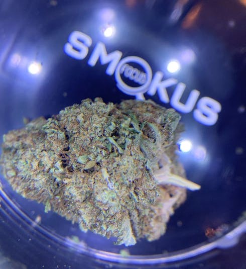 Bubblegum Kush