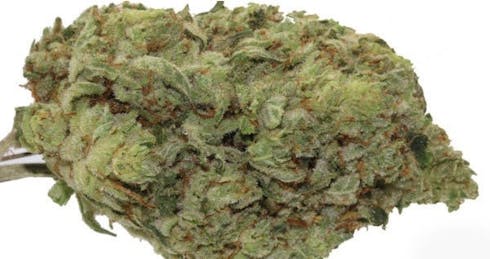 GG # 4