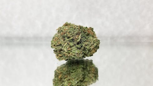 Fluffhead (Hybrid)